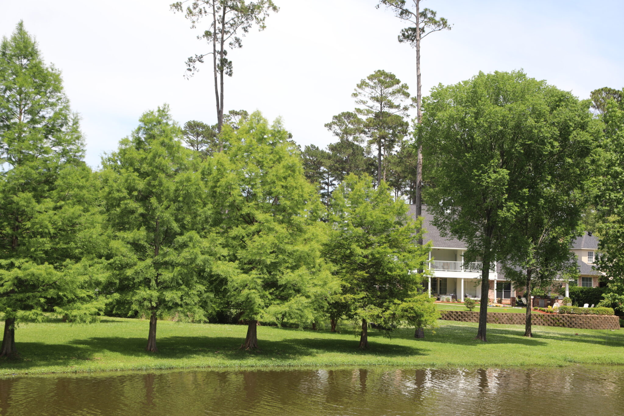 Our Neighborhood Long Lake