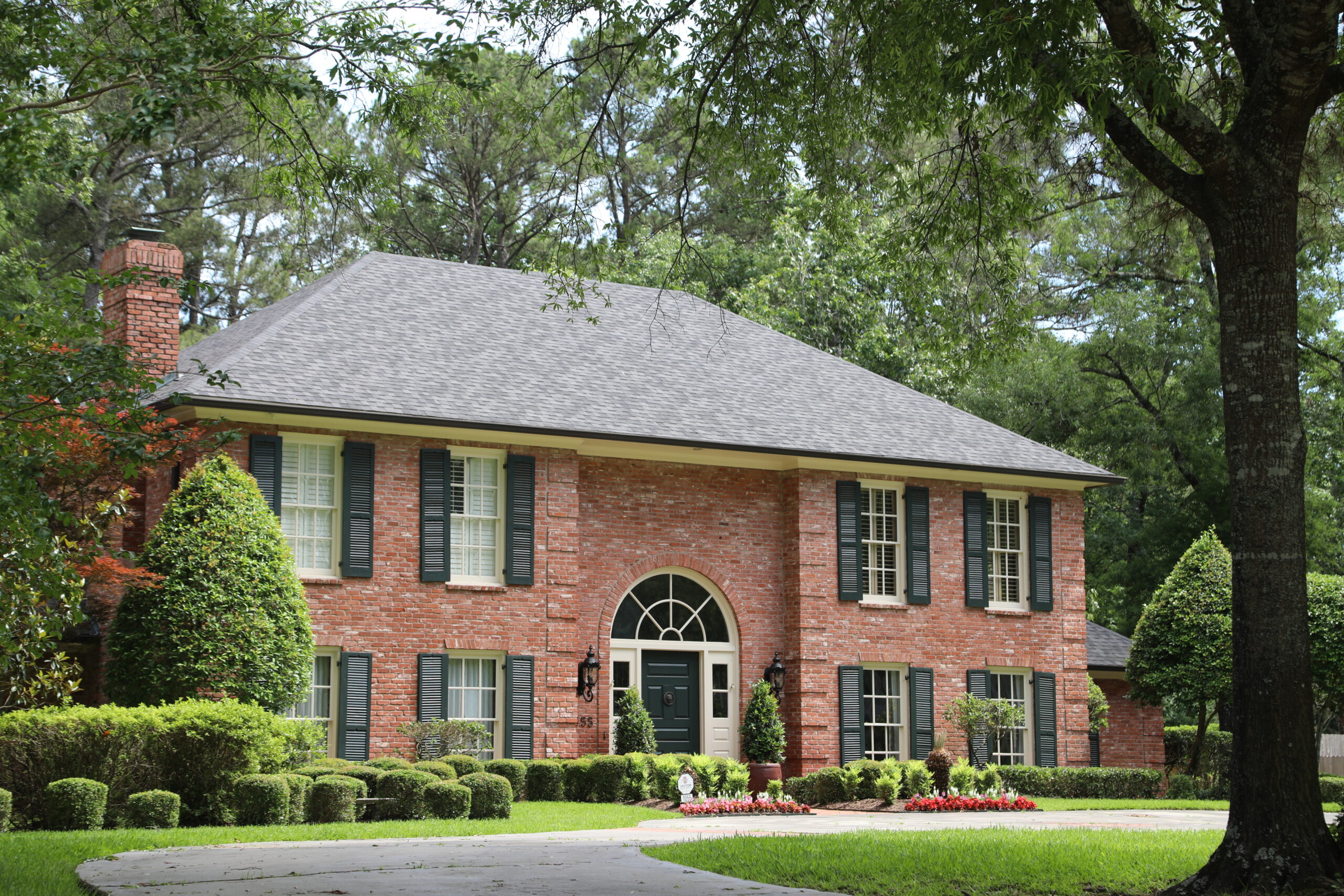 Our Neighborhood Long Lake